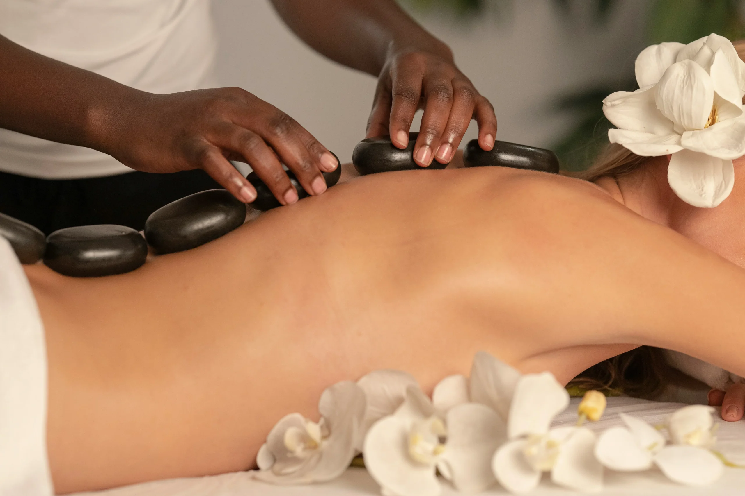 Wellness Bali Club: Your Ultimate Guide to Holistic Health and Rejuvenation in Paradise